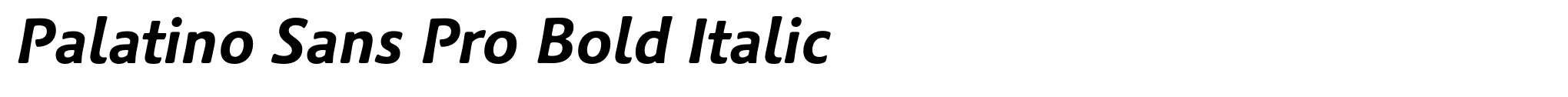 Palatino Sans Pro Bold Italic image